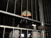 k-dscn0077 k-dscn0077